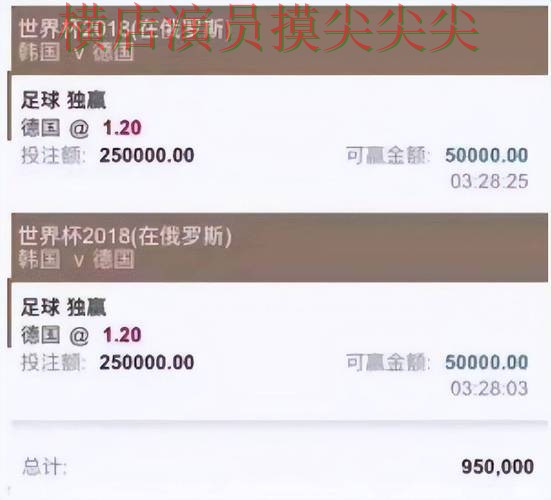 世界杯投注平台合集实测对比：聚焦速度测试与赛事直播体验 - 世界杯官方信息